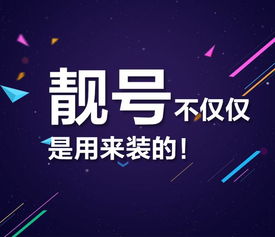 大连移动靓号特价促销