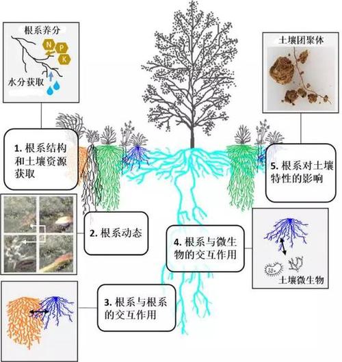 粘液科技附属大全