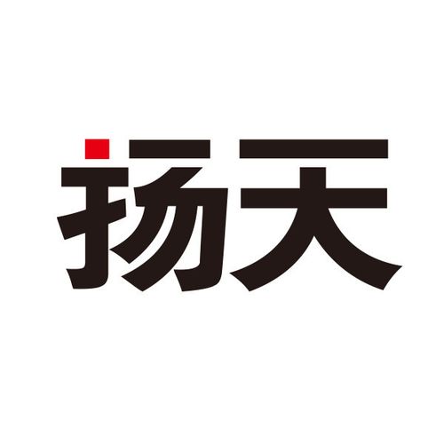 扬天而行年轻一代的勇气与梦想